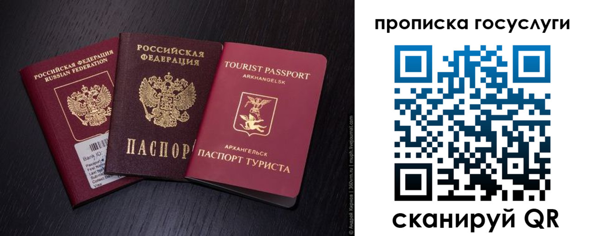 прописка 2025 в Реутове